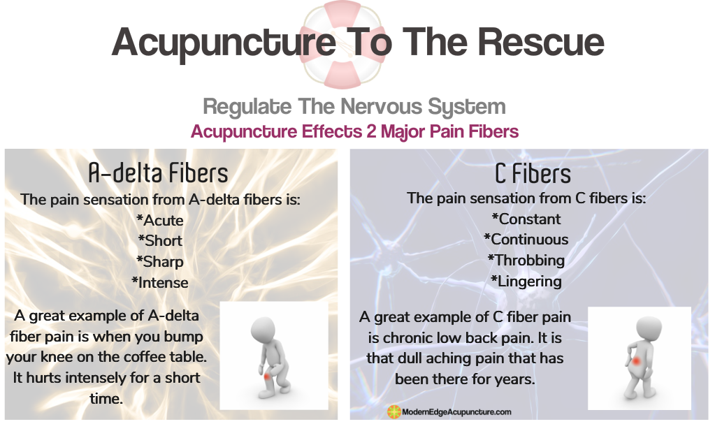 acupuncture effects nervous system